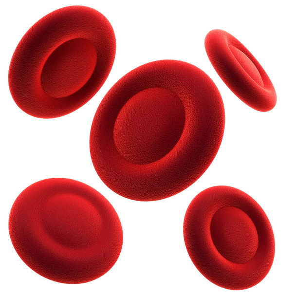 red blood cells - Foto, Bild