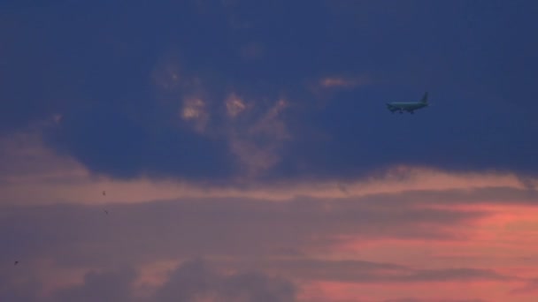 Boeing 737 προσγείωση στο ηλιοβασίλεμα στην πόλη - Πλάνα, βίντεο