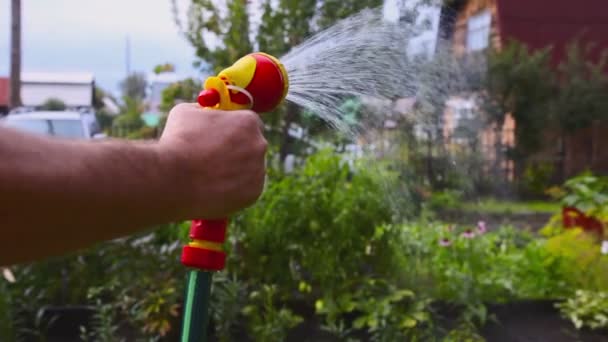 Farmer is watering plants - Footage, Video