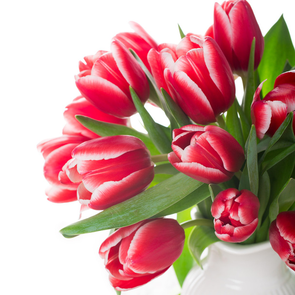 Boeket van roze tulpen in de vaas op de witte achtergrond - Foto, afbeelding