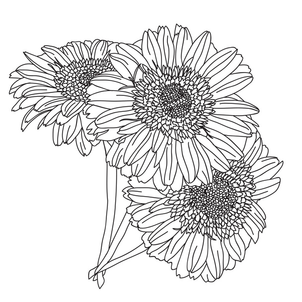 hand drawn floral decoration - Vettoriali, immagini