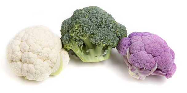 Broccoli isolated an white background - Foto, Imagem