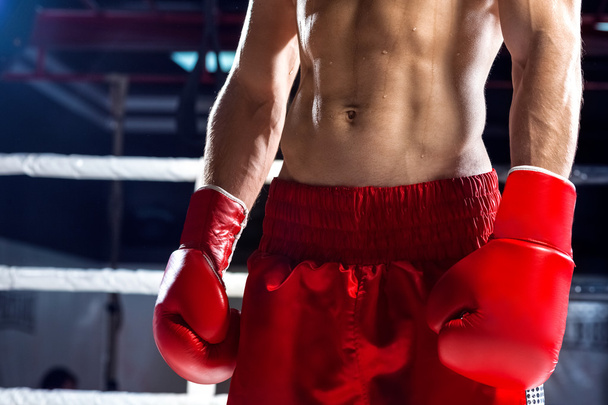 Skillful boxing champion is going for sports - Фото, зображення