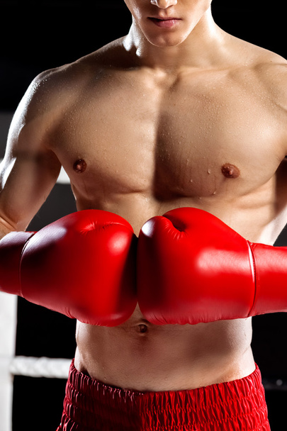 Skillful boxing champion is preparing for fighting - Фото, зображення