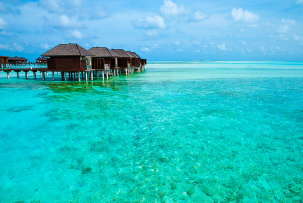 Maldivler 'deki tropik plaj - Fotoğraf, Görsel