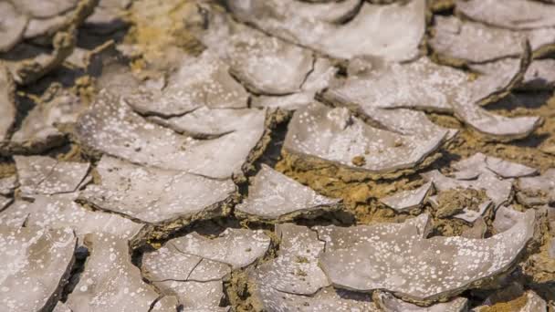 Κομμάτια της λάσπης ξηρασία στο άγονο Valley - Πλάνα, βίντεο