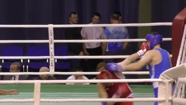 Los chicos compiten en boxeo
 - Imágenes, Vídeo