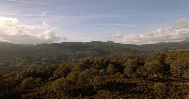 4K Aerial, Lento puiden, metsien ja kukkuloiden yli, Andalusia, Espanja
 - Materiaali, video