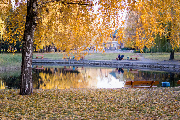 jesień park i jezioro - Zdjęcie, obraz
