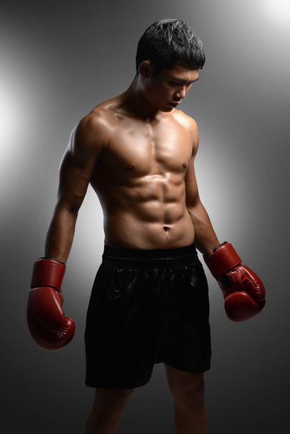 boxer with boxing gloves standing on grey background with spotli - Valokuva, kuva