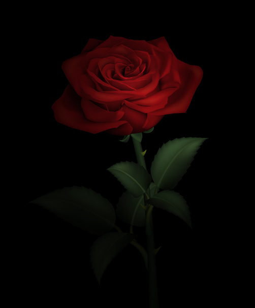 Realistic red rose - Vecteur, image