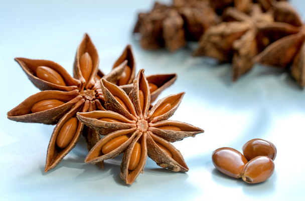 Star Anise spice - Photo, Image