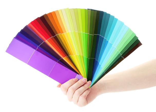 Hand holding bright palette of colors isolated on white - Photo, Image