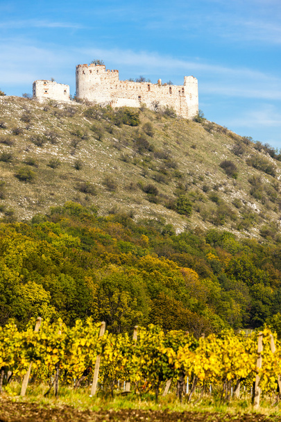 ruins of Devicky Castle with vineyard in autumn - Photo, Image