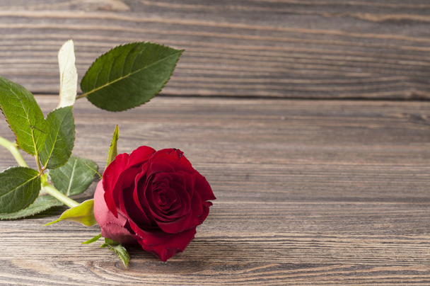 Red rose flower on a wooden background. - Photo, image