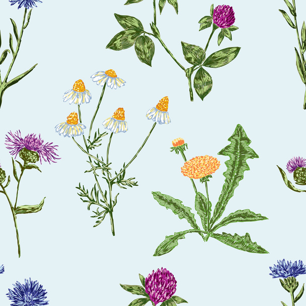 drawn wildflowers pattern - Vector, Image