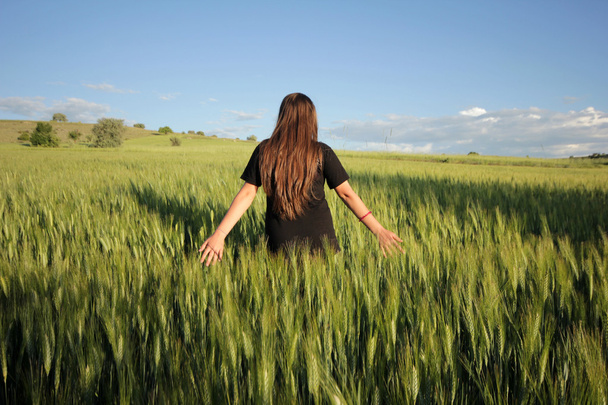 In the wheat field - Photo, Image