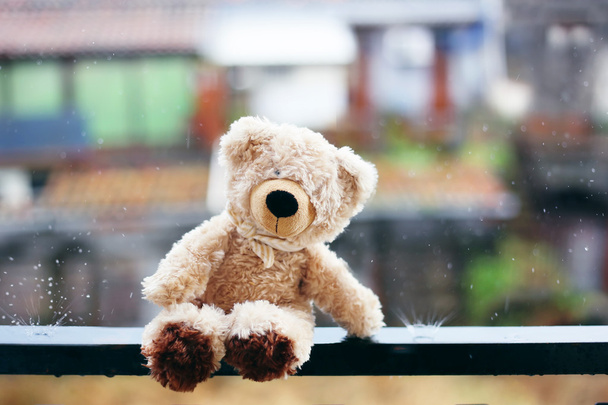 Teddy bear photo - Фото, изображение