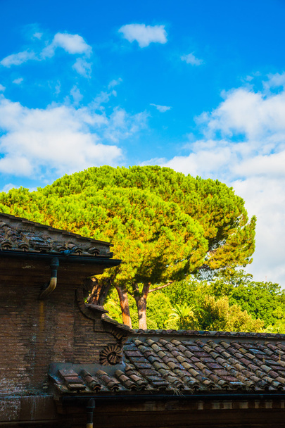 Park in Vatican museums - Photo, image