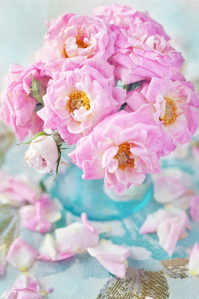 Delicate pink rose - Zdjęcie, obraz
