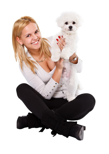 Happy girl and white dog - Fotografie, Obrázek