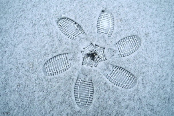 Kwiaty na śniegu przez moje nogi - Zdjęcie, obraz