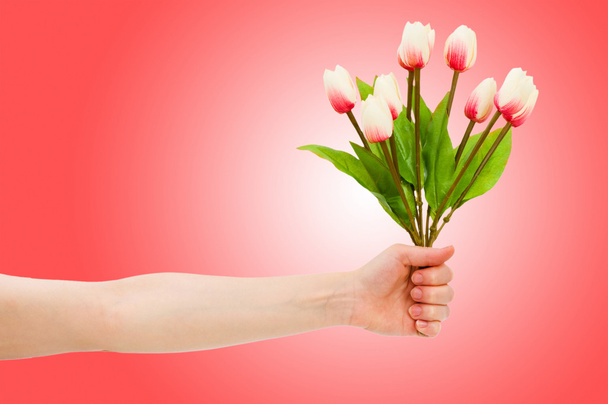 Рука з тюльпанами на градієнті
 - Фото, зображення