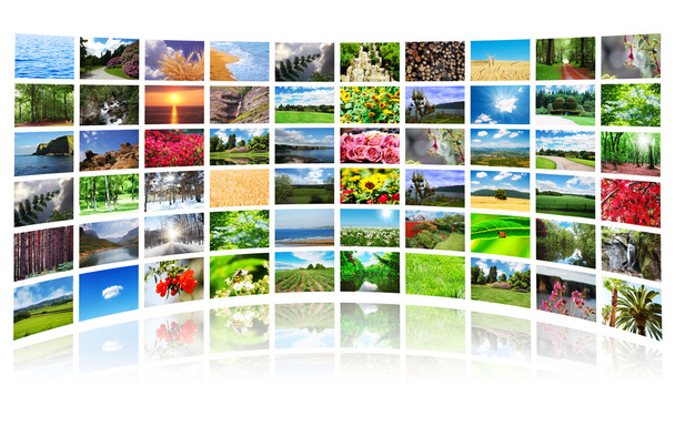 Collage de muchas fotos de la naturaleza - Foto, imagen