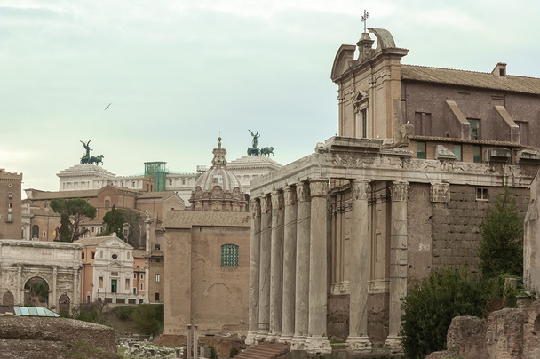 Римский палатино
 - Фото, изображение