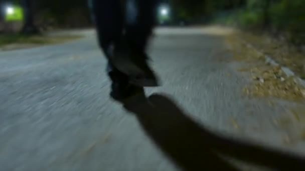 Ο άνθρωπος που περπατά στο πάρκο - Πλάνα, βίντεο