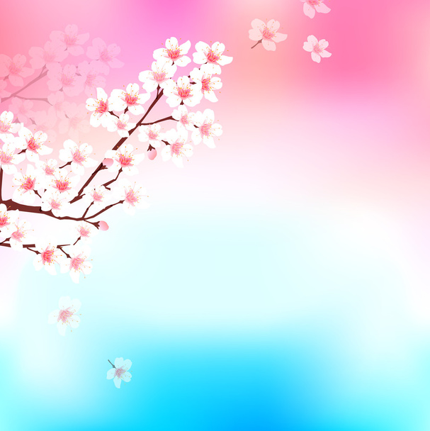 Весенний вишневый фон
 - Вектор,изображение