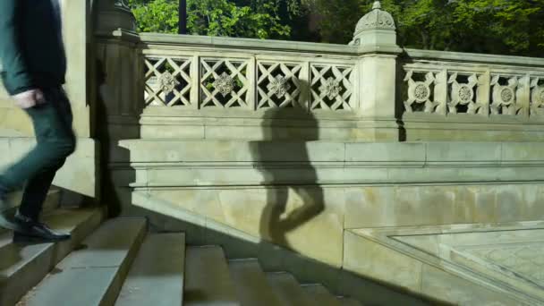 az ember a parkban lépcsőn járás - Felvétel, videó