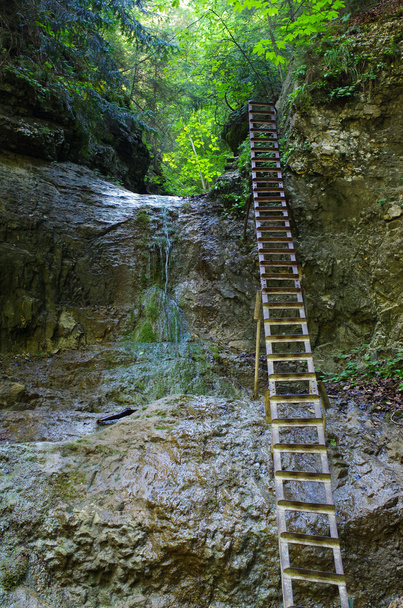 Cliff with ladder in Slovak Paradise - Foto, Imagen