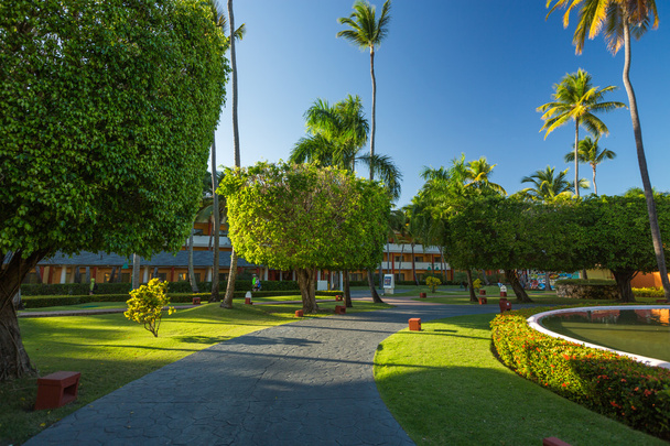 Tropická zahrada s cestou v luxusním letovisku v Punta Cana, Dom - Fotografie, Obrázek