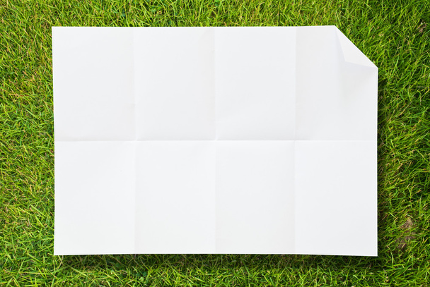 Blank white paper texture on the grass. - Foto, afbeelding