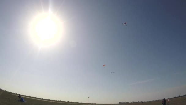 Parachutisten vliegen in de lucht - Video