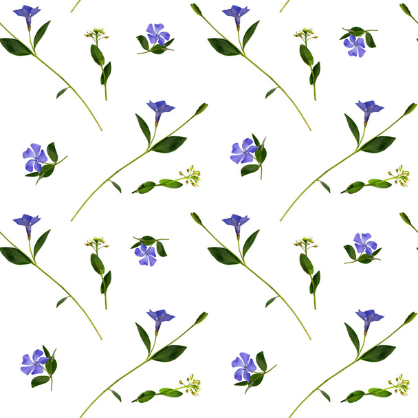 Periwinkle and wild flowers seamless pattern - Zdjęcie, obraz