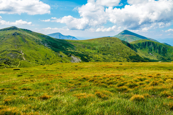Carpathian mountains view in the Summer. - Photo, Image