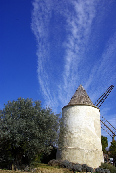 VN-moulin et un olivier - Foto, afbeelding