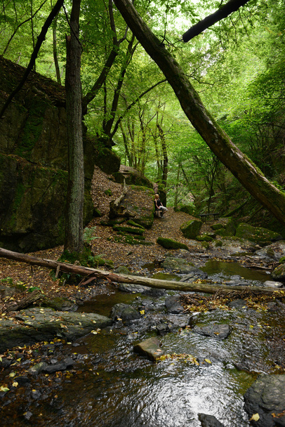 Wild stream Brodenbach naast de rivier van de Moezel - Foto, afbeelding