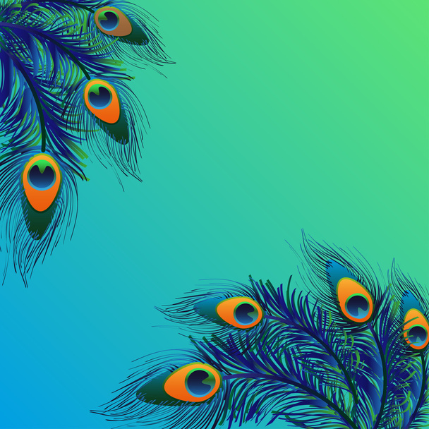 孔雀の羽と背景デザイン - ベクター画像