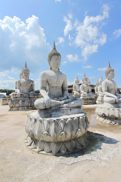 Buddhan patsas puisto Nakhon Si Thammarat, Thaimaa
 - Valokuva, kuva