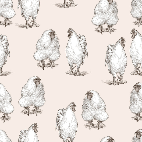 cocks and hens - Vektor, obrázek