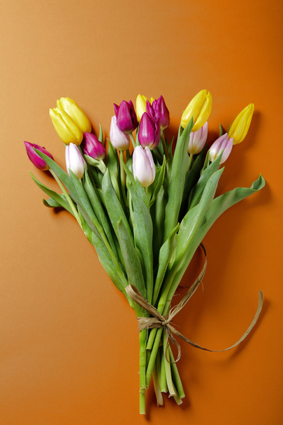 tulips flowers on orange surface - Foto, Bild