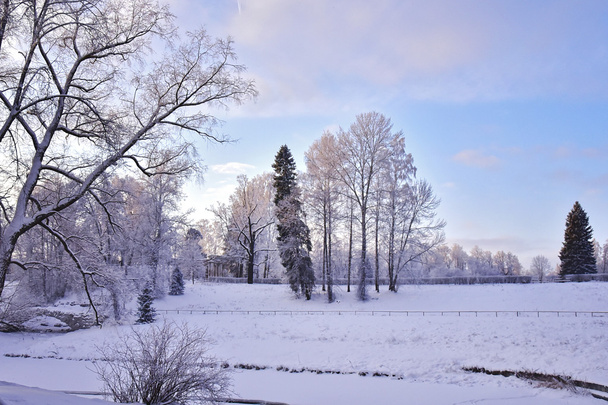 Snow Park w okresie zimowym w Petersburgu Pavlovsk - Zdjęcie, obraz