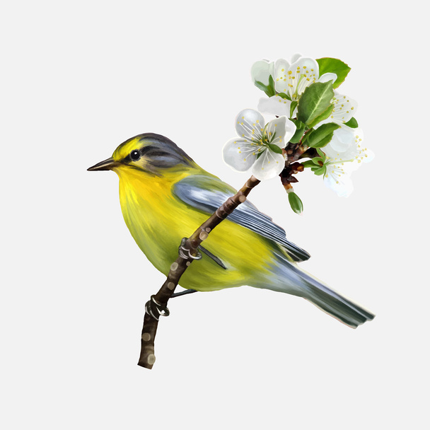 little yellow bird on a branch of cherry blossoms - Wektor, obraz