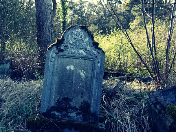 Старое надгробие в лесу
 - Фото, изображение