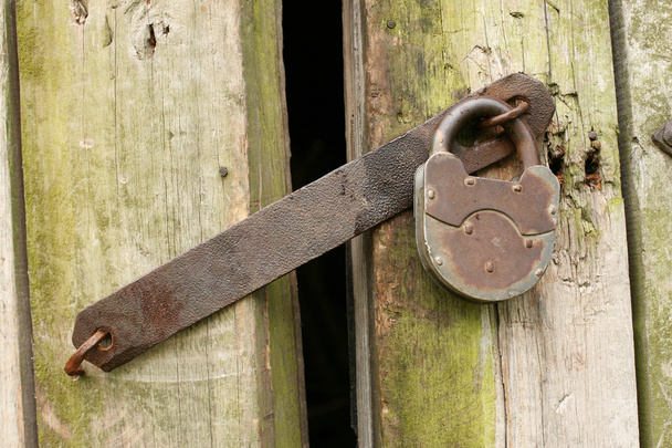 Vintage door with old rusty padlock - Фото, изображение