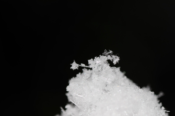 Siyah küçük kar tepede - Fotoğraf, Görsel