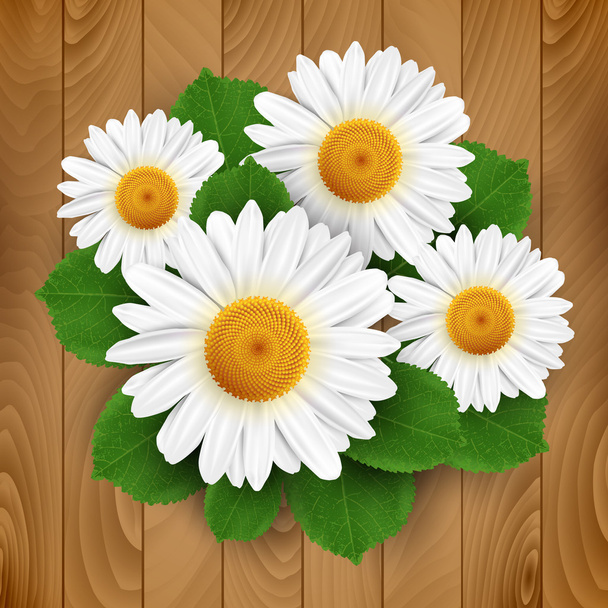 Pequeñas flores y hojas blancas sobre un fondo de madera
 - Vector, Imagen